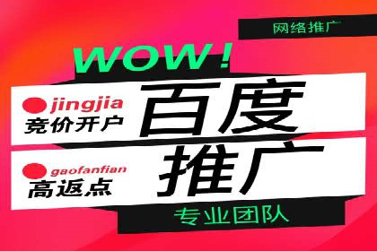百度SEO推广公司案例集锦：热门行业案例解析